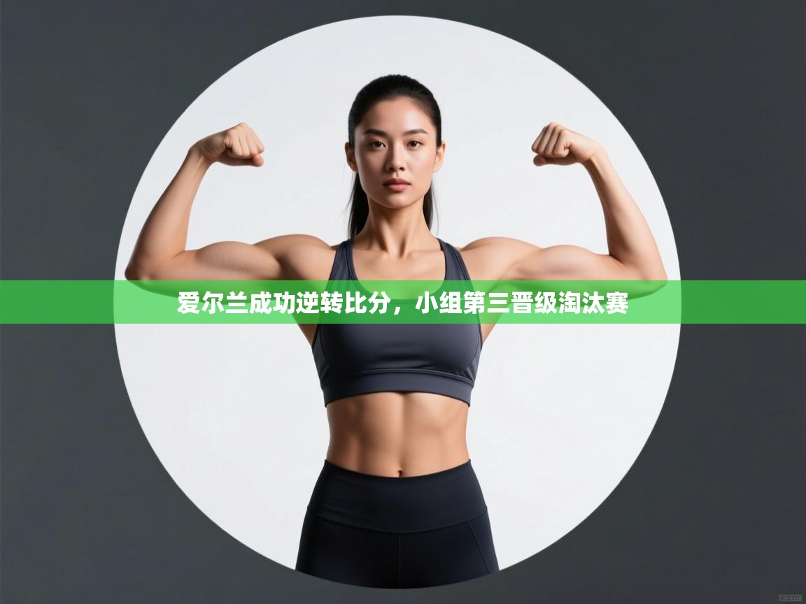 爱尔兰成功逆转比分,小组第三晋级淘汰赛 第2张